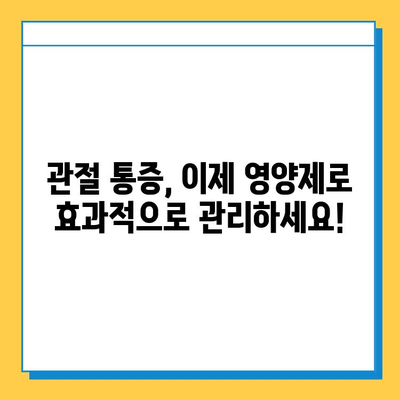 관절 건강, 과학적으로 지켜줄 영양제| 통증 완화와 건강 유지 | 관절연골, 영양제 추천, 건강 관리, 과학적 분석