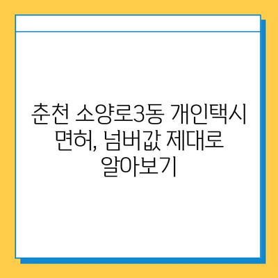 춘천 소양로3동 개인택시 면허 매매 가격 상세 분석| 오늘 시세, 넘버값, 자격조건, 월수입, 양수교육 | 강원도, 택시, 면허, 매매, 가격