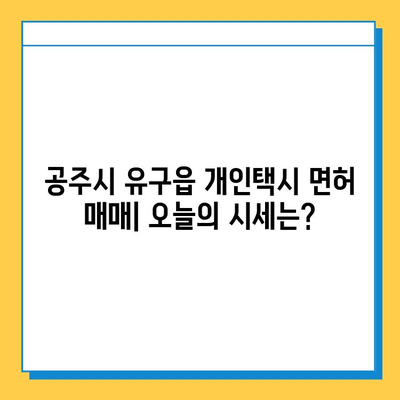충청남도 공주시 유구읍 개인택시 면허 매매 가격| 오늘 시세 확인 및 자격조건, 월수입, 양수교육 안내 | 넘버값, 번호판, 면허 양수 |