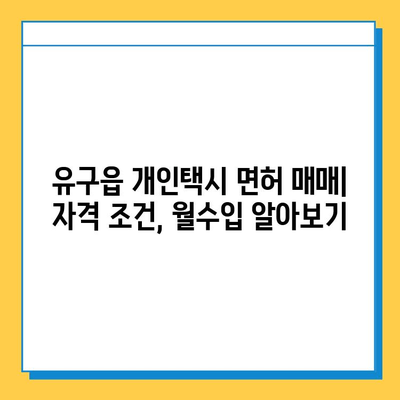 충청남도 공주시 유구읍 개인택시 면허 매매 가격| 오늘 시세 확인 및 자격조건, 월수입, 양수교육 안내 | 넘버값, 번호판, 면허 양수 |