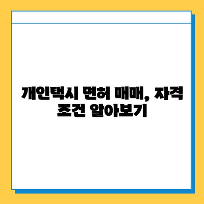 광주 광산구 신흥동 개인택시 면허 매매 가격| 오늘 시세, 번호판 값, 자격조건, 월수입, 양수 교육 | 상세 정보