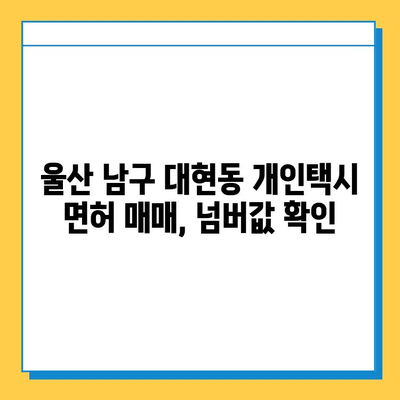 울산 남구 대현동 개인택시 면허 매매| 오늘 시세, 넘버값, 자격조건, 월수입, 양수교육 | 상세 정보