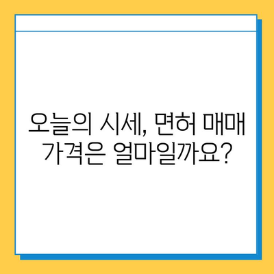 의성군 가음면 개인택시 면허 매매 가격| 오늘 시세 확인 및 자격조건, 월수입, 양수교육 정보 | 번호판, 넘버값