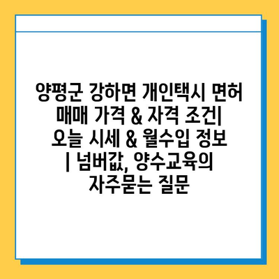 양평군 강하면 개인택시 면허 매매 가격 & 자격 조건| 오늘 시세 & 월수입 정보 | 넘버값, 양수교육