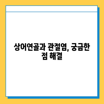 관절염증약 대신 상어연골로 건강한 관절 되찾기| 효과와 주의사항 | 관절 건강, 상어 연골, 건강 기능 식품, 관절염
