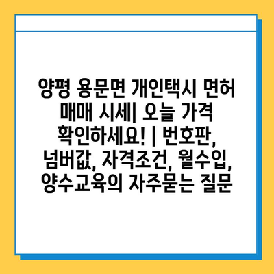 양평 용문면 개인택시 면허 매매 시세| 오늘 가격 확인하세요! | 번호판, 넘버값, 자격조건, 월수입, 양수교육