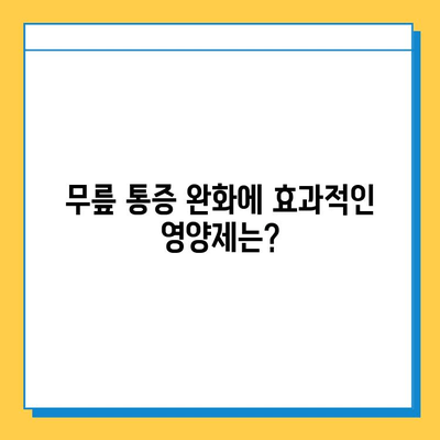 무릎 연골 건강을 위한 효과적인 영양제 선택 가이드 | 무릎 통증, 연골 재생, 관절 건강