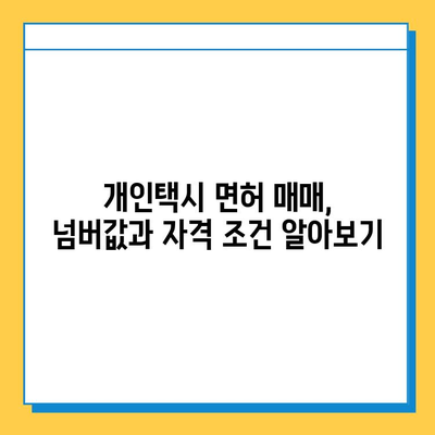서울 서초구 양재2동 개인택시 면허 매매 가격| 오늘 시세 확인 | 번호판, 넘버값, 자격조건, 월수입, 양수교육