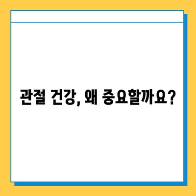 관절 건강 지키는 선택! 나에게 맞는 관절연골영양제 고르는 기준 | 관절 건강, 영양제, 선택 가이드, 효과