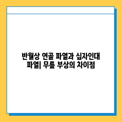 반월상 연골 파열 vs 십자인대 파열| 치료법과 회복 과정 비교 가이드 | 무릎 부상, 운동, 재활