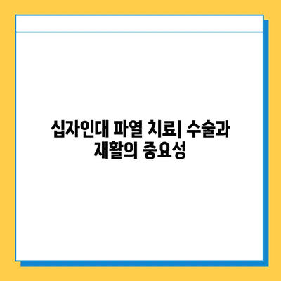 반월상 연골 파열 vs 십자인대 파열| 치료법과 회복 과정 비교 가이드 | 무릎 부상, 운동, 재활