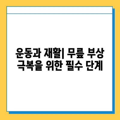 반월상 연골 파열 vs 십자인대 파열| 치료법과 회복 과정 비교 가이드 | 무릎 부상, 운동, 재활