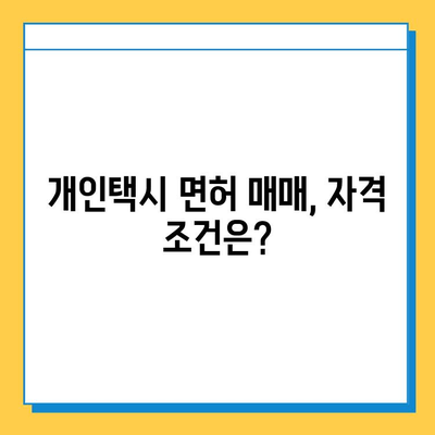 울산 남구 신정4동 개인택시 면허 매매 가격| 오늘 시세 & 넘버값 | 자격조건 | 월수입 | 양수교육