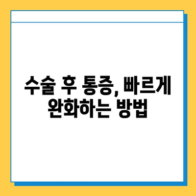 반월상 연골 파열, 수술 시기와 재활 성공 가이드 | 통증 완화, 회복 과정, 운동법