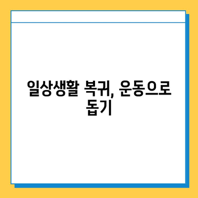 반월상 연골 파열, 수술 시기와 재활 성공 가이드 | 통증 완화, 회복 과정, 운동법