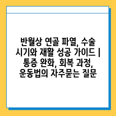 반월상 연골 파열, 수술 시기와 재활 성공 가이드 | 통증 완화, 회복 과정, 운동법
