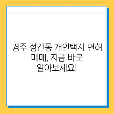 경주 성건동 개인택시 면허 매매 가격| 오늘 시세 확인 & 자격조건, 월수입, 양수교육 안내 | 번호판, 넘버값, 매매 정보