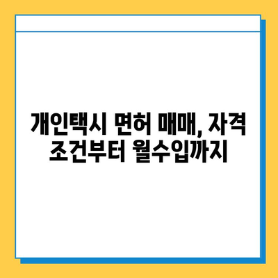 강원도 인제군 서화면 개인택시 면허 매매 가격| 오늘 시세 확인 & 자격조건, 월수입, 양수교육 정보 | 번호판, 넘버값, 면허 취득