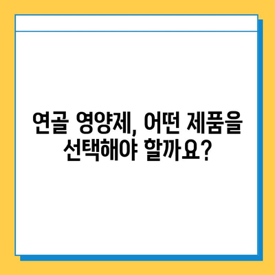 부모님 건강 선물, 관절 연골 영양제 추천 가이드 | 부모님 선물, 관절 건강, 연골 영양제, 건강 기능 식품