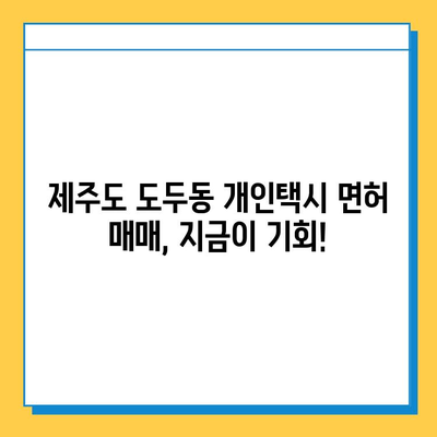 제주도 제주시 도두동 개인택시 면허 매매 가격| 오늘 시세 확인 & 자격조건, 월수입, 양수교육  | 번호판, 넘버값