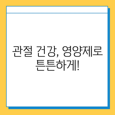 무릎 연골 건강 지키는 효과적인 영양제 추천 | 무릎 통증, 연골 재생, 관절 건강
