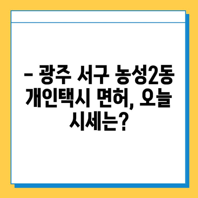 광주 서구 농성2동 개인택시 면허 매매| 오늘 시세 & 넘버값 | 자격조건, 월수입, 양수교육