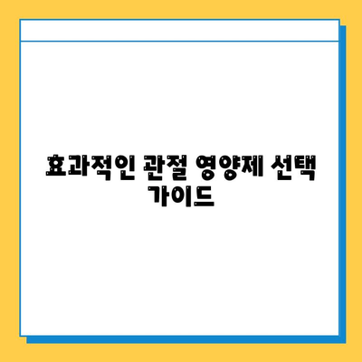 관절 건강 지키는 현명한 선택! 나에게 맞는 관절 영양제 고르는 가이드 | 관절 영양제 추천, 관절 건강 관리, 관절 통증 완화
