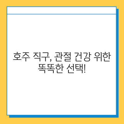호주 관절연골영양제 후기| 콘드로이친 효과 및 추천 제품 | 관절 건강, 연골 재생, 호주 직구