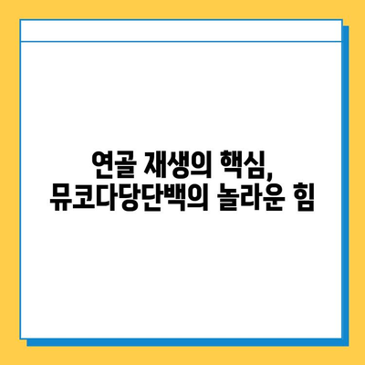 연골 재생의 희망, 뮤코다당단백의 역할과 가능성 | 연골 재생, 뮤코다당단백, 치료