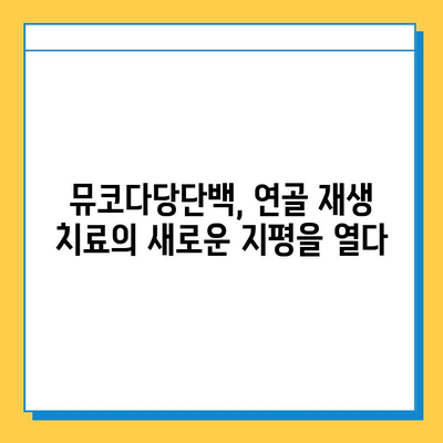 연골 재생의 희망, 뮤코다당단백의 역할과 가능성 | 연골 재생, 뮤코다당단백, 치료