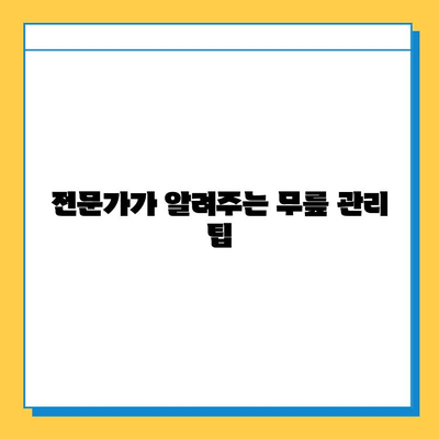 무릎연골 주사 & 수술 후 관리| 빠른 회복 위한 완벽 가이드 | 무릎 통증, 재활 운동, 주의사항, 전문가 조언