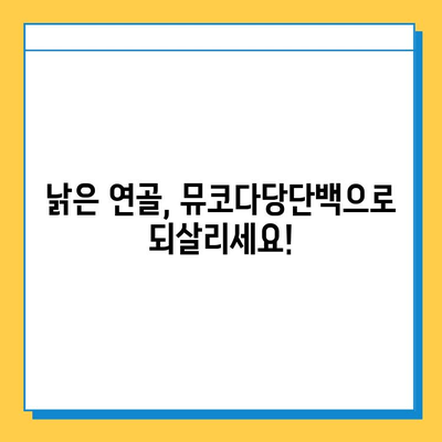 연골 재생을 위한 뮤코다당단백 영양제의 강점| 효능, 장점, 그리고 선택 가이드 | 관절 건강, 연골 건강, 뮤코다당단백, 영양제