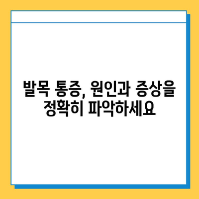 발목 통증 관리| 연골 건강 지키는 핵심 전략 | 발목 통증, 연골 재생, 운동, 식단