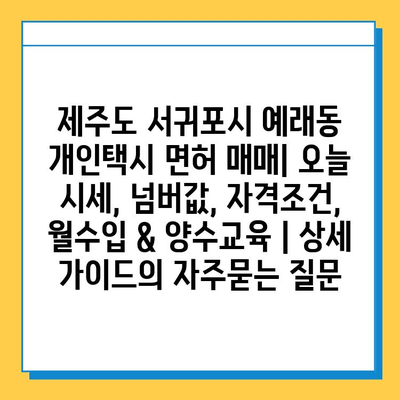 제주도 서귀포시 예래동 개인택시 면허 매매| 오늘 시세, 넘버값, 자격조건, 월수입 & 양수교육 | 상세 가이드