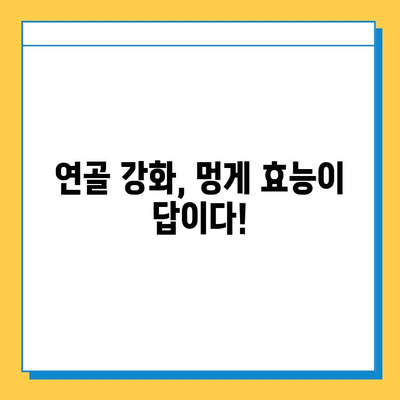 연골 건강, 멍게가 지켜줄까요? | 연골 강화, 영양제, 멍게 효능, 관절 건강