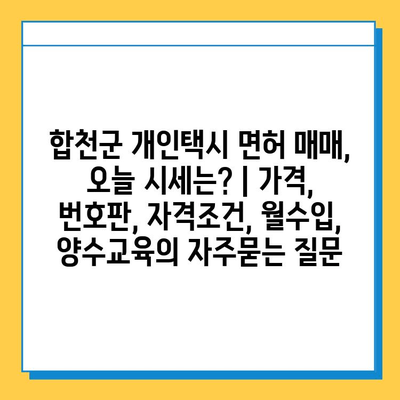 합천군 개인택시 면허 매매, 오늘 시세는? | 가격, 번호판, 자격조건, 월수입, 양수교육