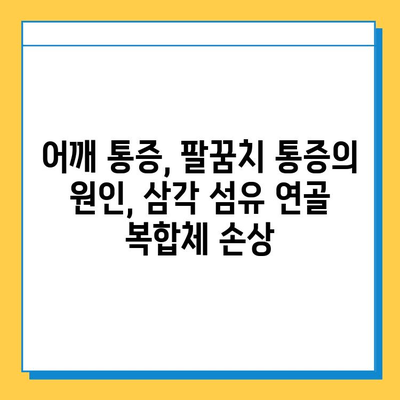 삼각 섬유 연골 복합체 손상 수술 치료법| 종류, 과정, 회복 | 어깨 통증, 팔꿈치 통증, 수술 후 관리