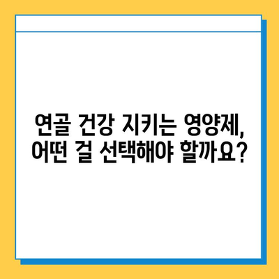 연골 건강 지키는 효과적인 연골영양제 추천 | 관절 건강, 연골 재생, 통증 완화