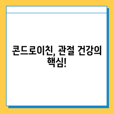 호주산 관절 영양제의 비밀| 콘드로이친 추천 이유 | 관절 건강, 연골 재생, 효능 비교, 호주 직구