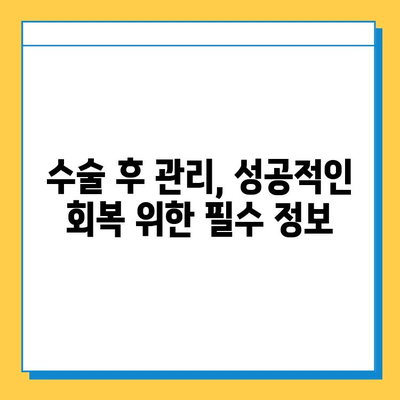 무릎 연골 파열 수술 비용, 병원별 상세 안내 | 무릎 연골 파열, 수술 비용, 병원 정보, 수술 후 관리