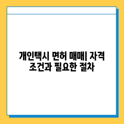 제주도 서귀포시 남원읍 개인택시 면허 매매 가격 & 시세 | 오늘 넘버값, 자격조건, 월수입, 양수교육 | 상세 정보