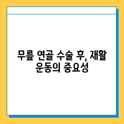 무릎 연골 수술 후 빠른 회복을 위한 재활 가이드 | 무릎 연골 수술, 재활 운동, 회복 기간