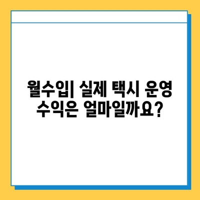 대구 수성구 지산1동 개인택시 면허 매매| 오늘 시세 & 넘버값 | 자격 조건, 월수입, 양수 교육