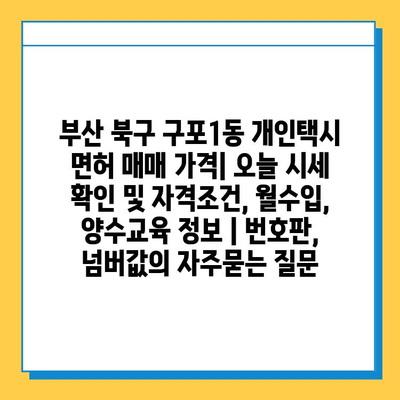 부산 북구 구포1동 개인택시 면허 매매 가격| 오늘 시세 확인 및 자격조건, 월수입, 양수교육 정보 | 번호판, 넘버값