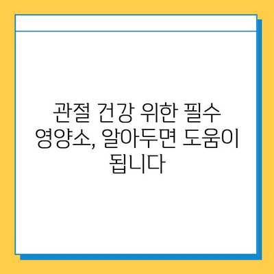 무릎 연골 건강을 위한 관절 통증 완화 영양제 성분 가이드 | 무릎 통증, 연골 재생, 관절 건강, 영양제 추천
