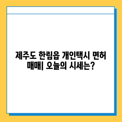 제주도 한림읍 개인택시 면허 매매 가격| 오늘 시세, 넘버값, 자격조건, 월수입, 양수교육 | 상세 가이드