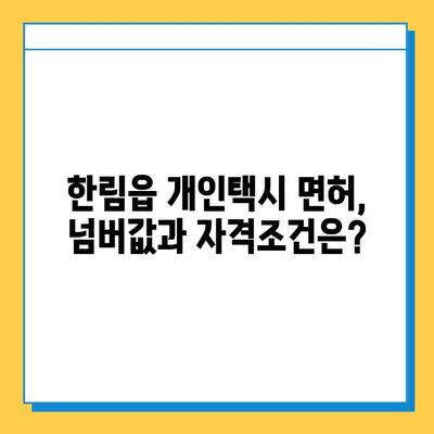 제주도 한림읍 개인택시 면허 매매 가격| 오늘 시세, 넘버값, 자격조건, 월수입, 양수교육 | 상세 가이드