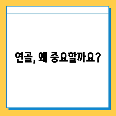 연골 건강 지키기, 영양제 선택이 중요한 이유 | 연골 영양제, 관절 건강, 효과적인 선택