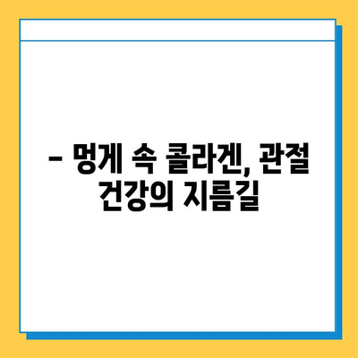 못난이 멍게, 연골 건강 지키는 비밀 무기? | 멍게 효능, 연골 강화, 콜라겐, 관절 건강