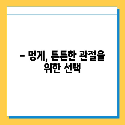못난이 멍게, 연골 건강 지키는 비밀 무기? | 멍게 효능, 연골 강화, 콜라겐, 관절 건강